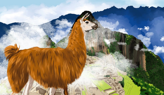LLAMA