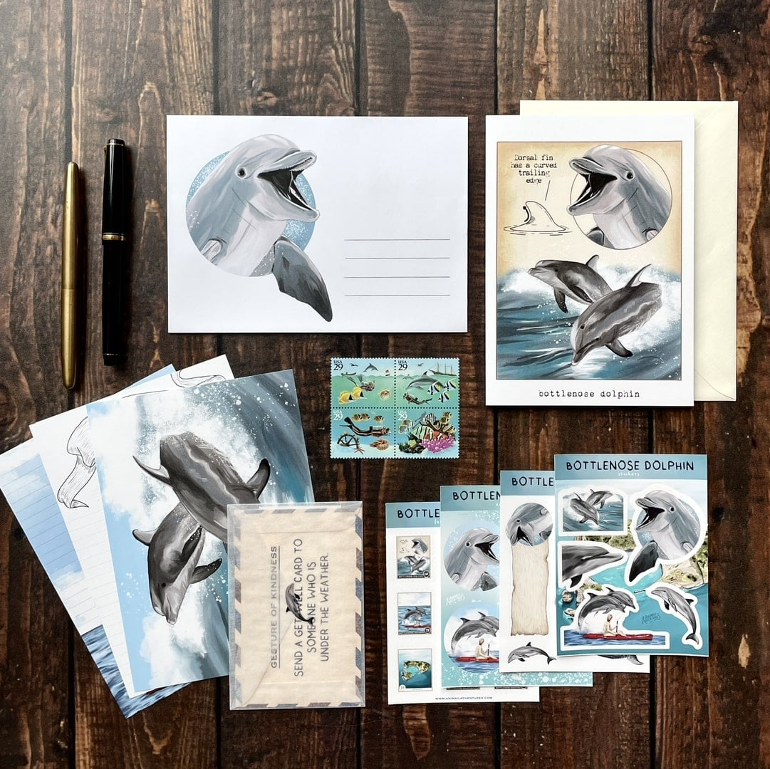 Bottlenose Dolphin - Pen Pal Tier