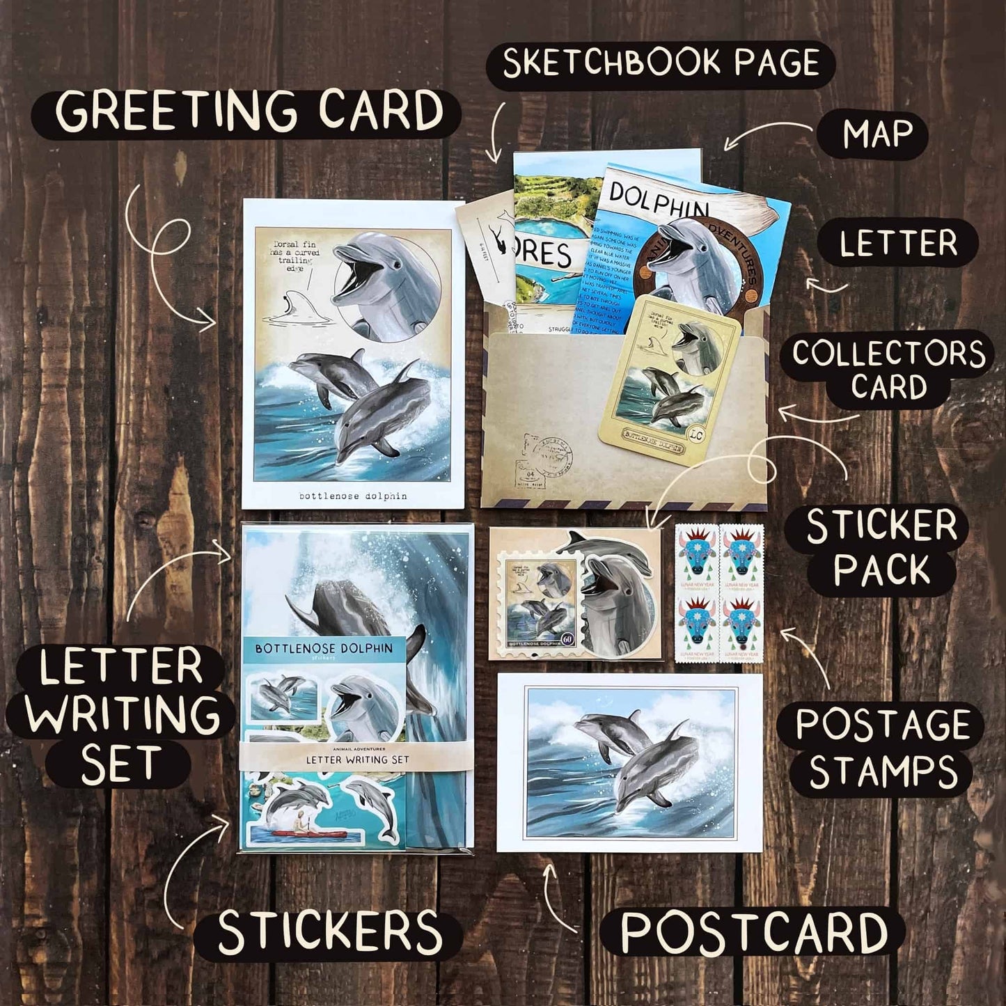 Bottlenose Dolphin - Pen Pal Tier