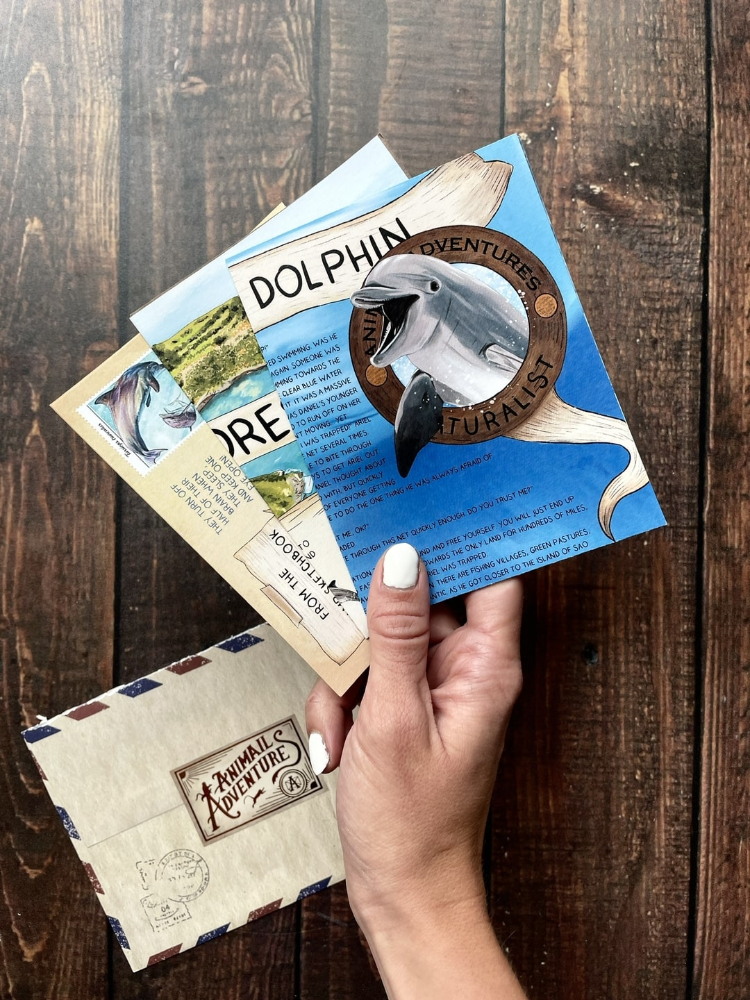Bottlenose Dolphin - Pen Pal Tier