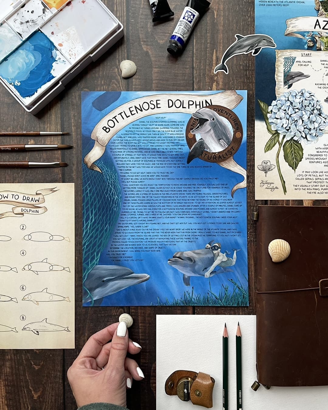 Bottlenose Dolphin - Pen Pal Tier