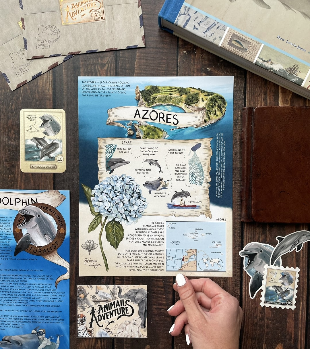 Bottlenose Dolphin - Pen Pal Tier