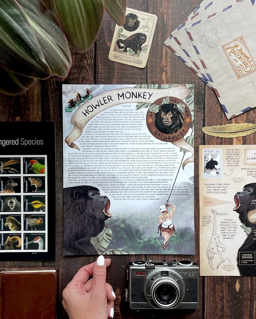 Howler Monkey - Pen Pal Tier