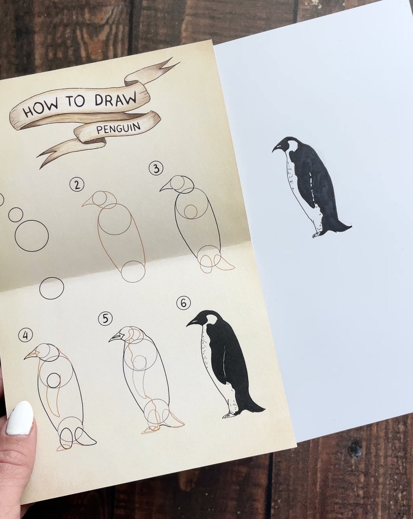 Emperor Penguin - Pen Pal Tier