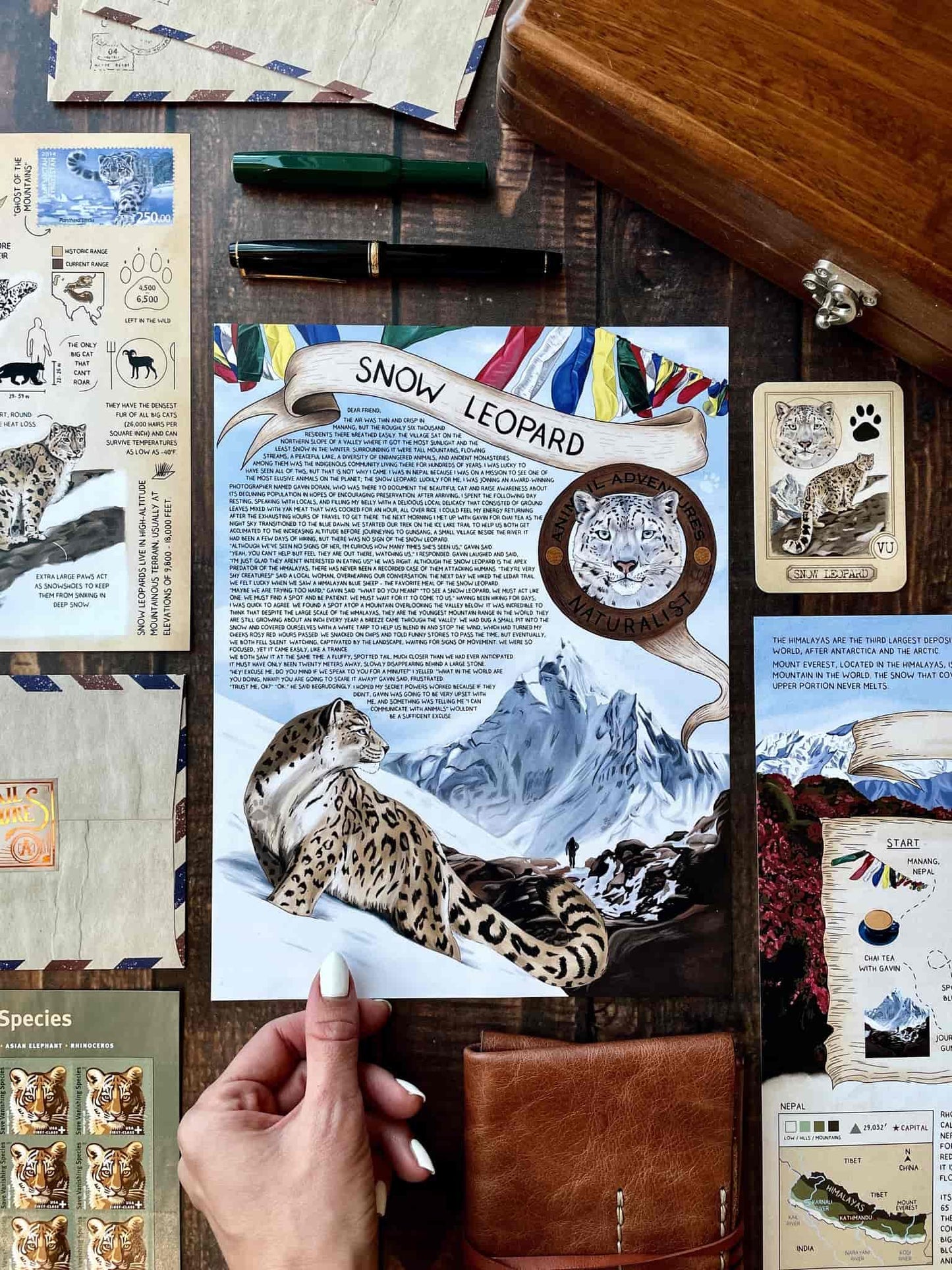 Snow Leopard - Pen Pal Tier