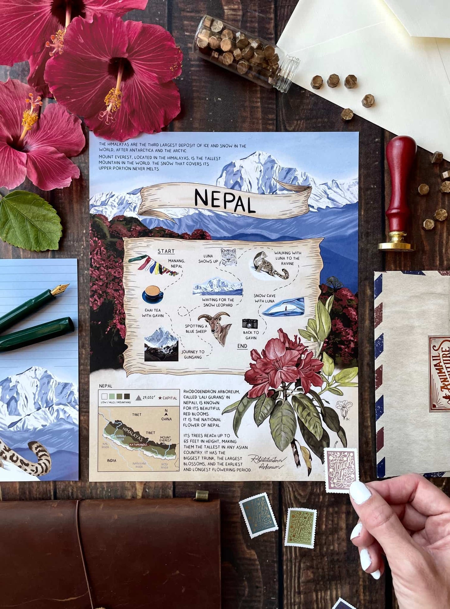 Snow Leopard - Pen Pal Tier