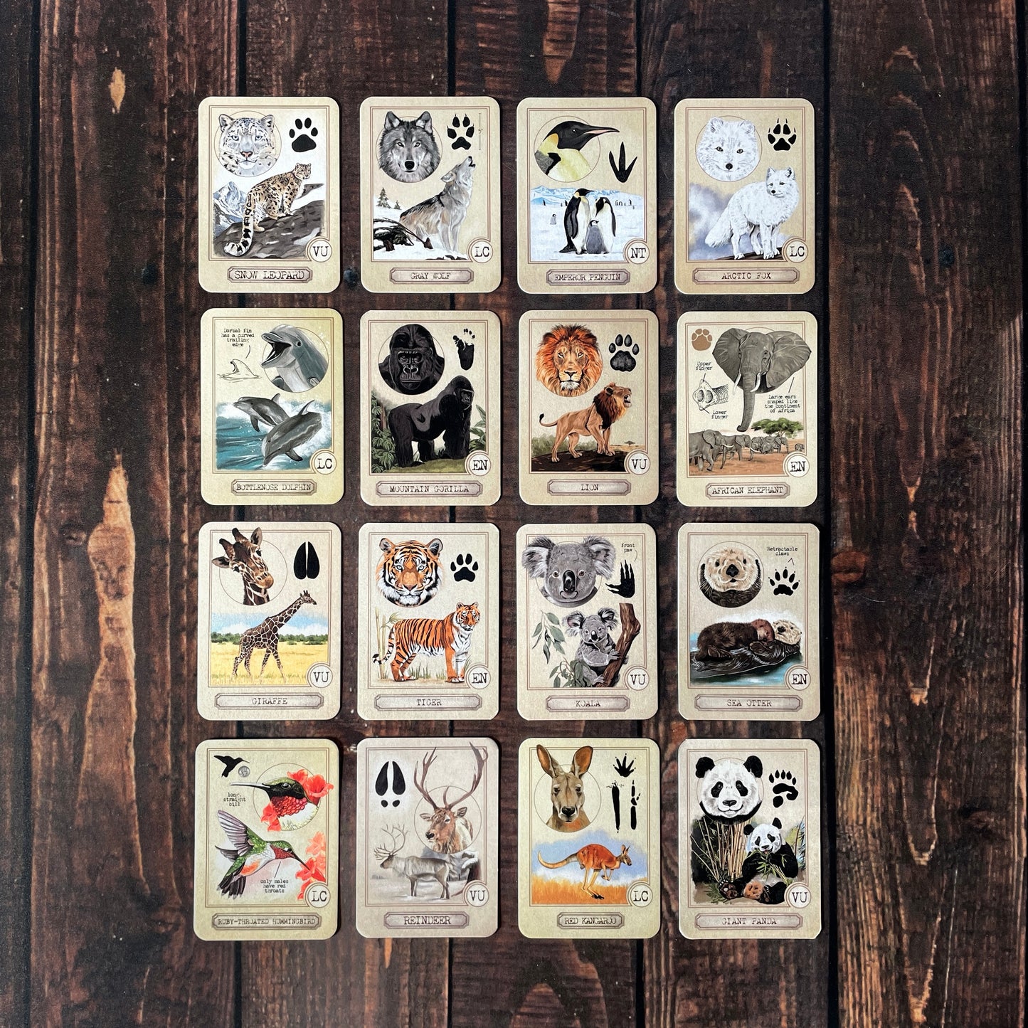 Animail Adventures Collectible Cards