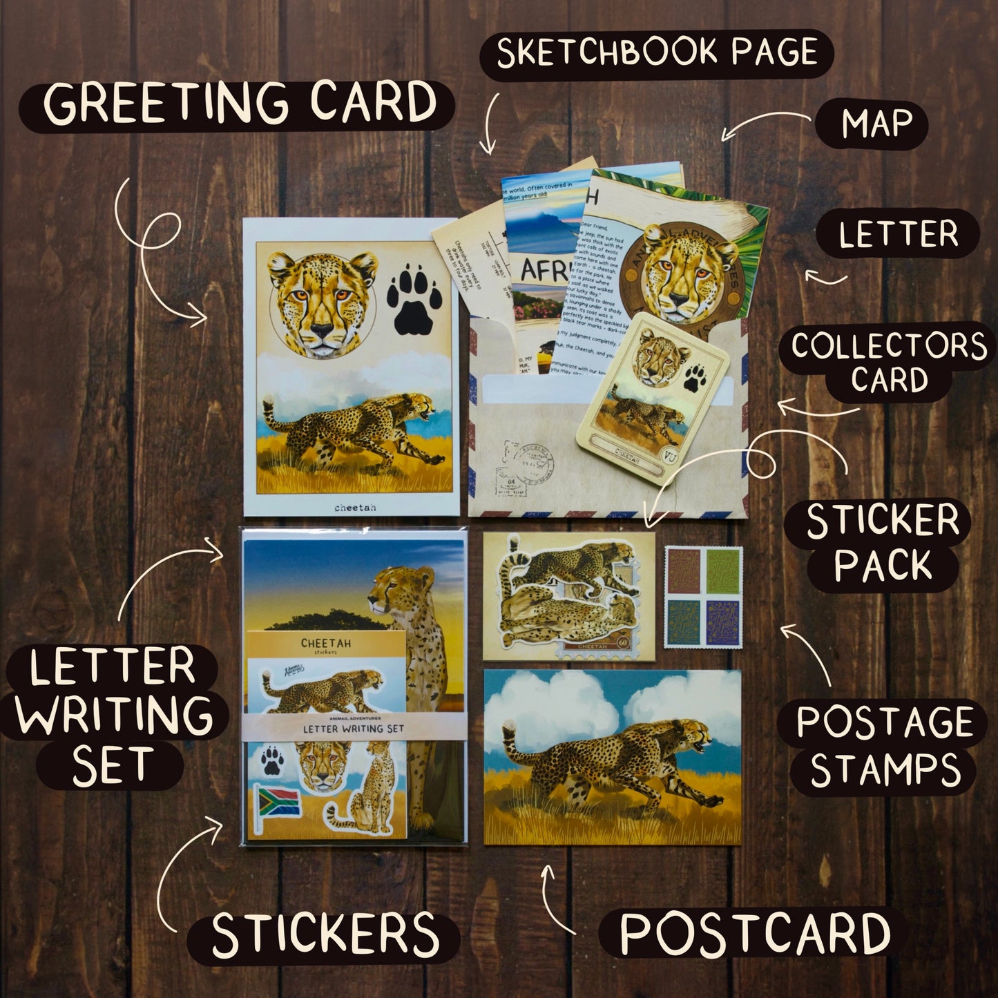 Cheetah - Pen Pal Tier