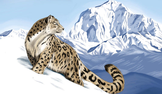 SNOW LEOPARD - animailadventures