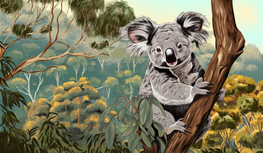 KOALA