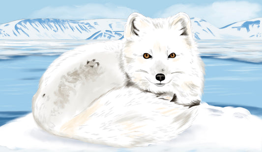 ARCTIC FOX