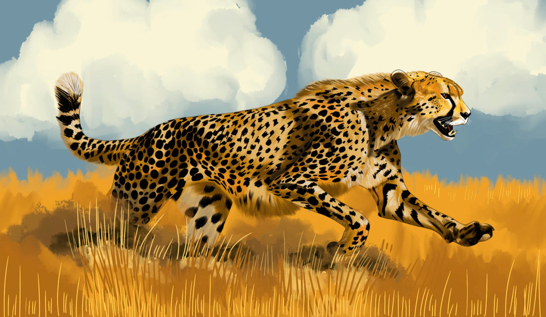 CHEETAH