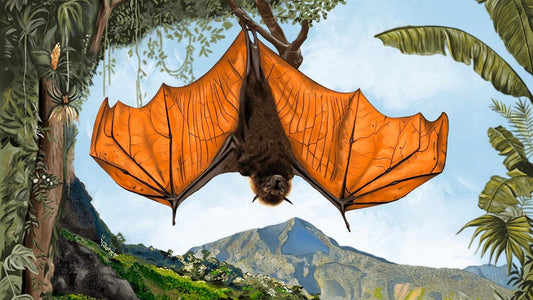 GIANT GOLDEN-CROWNED FLYING FOX - animailadventures