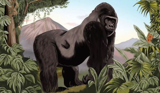 MOUNTAIN GORILLA