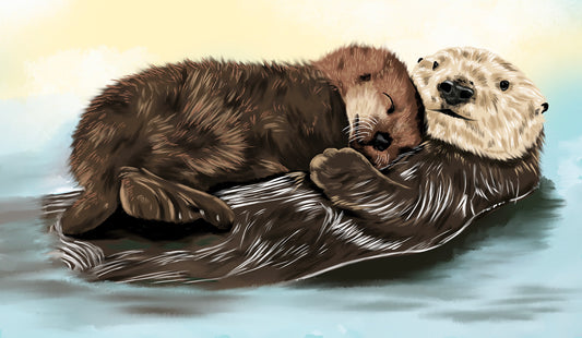 SEA OTTER