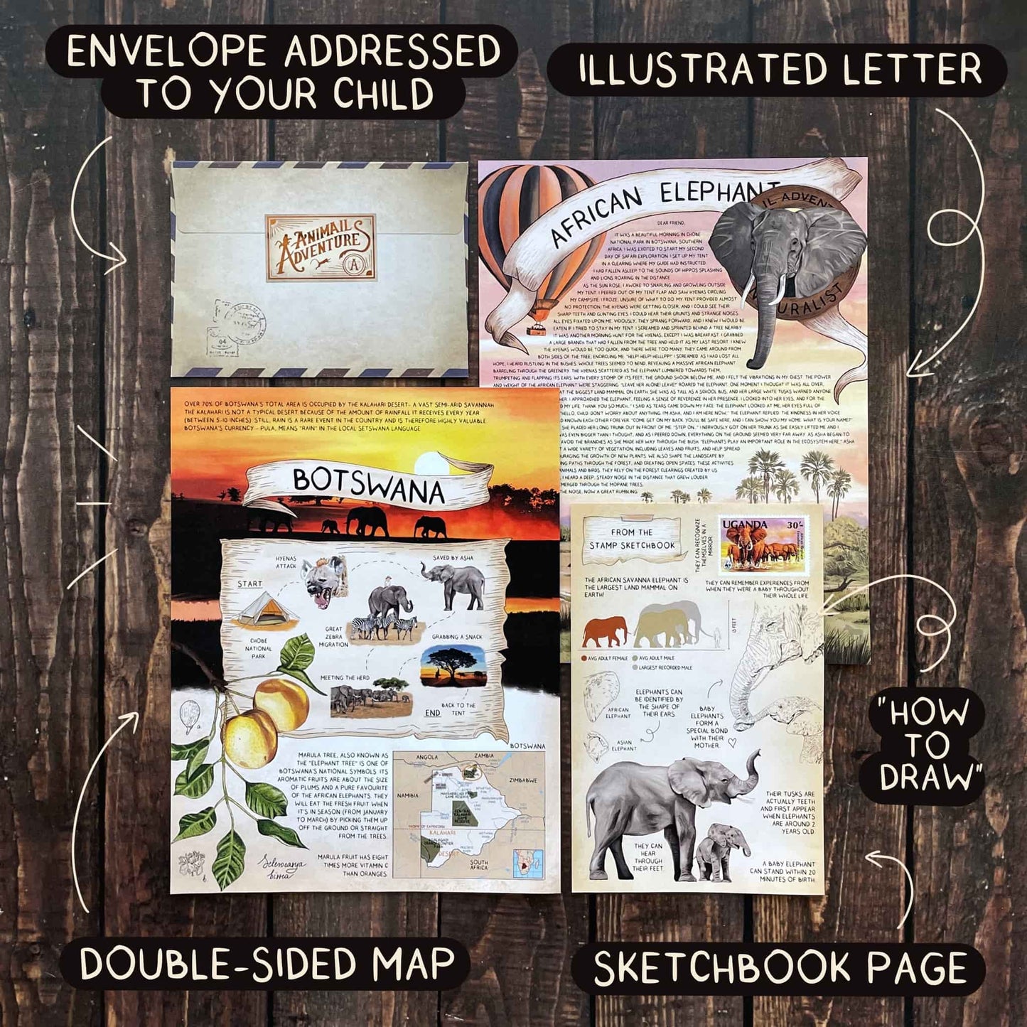 African Elephant - Letter Tier