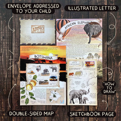 African Elephant - Letter Tier