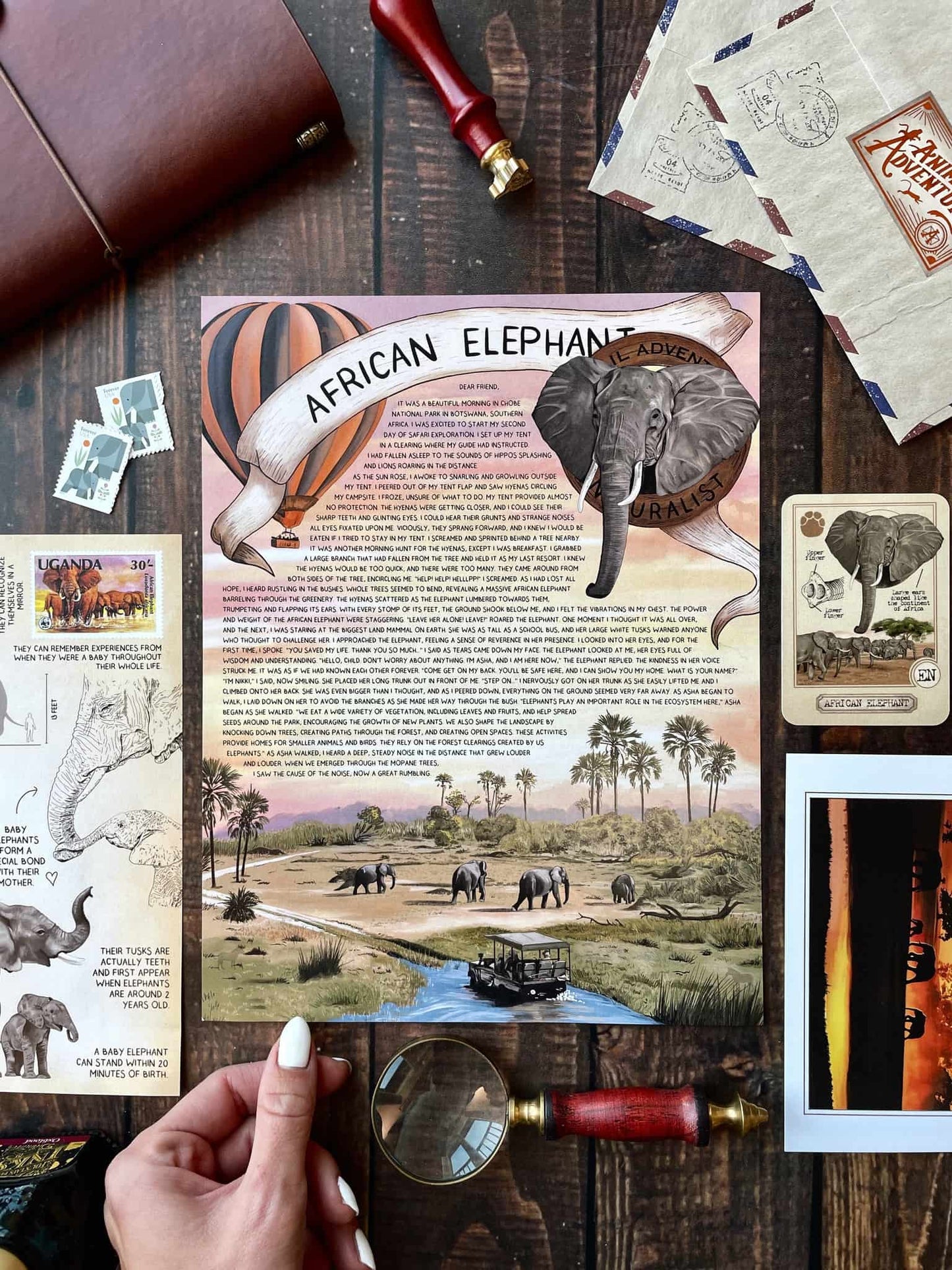 African Elephant - Letter Tier