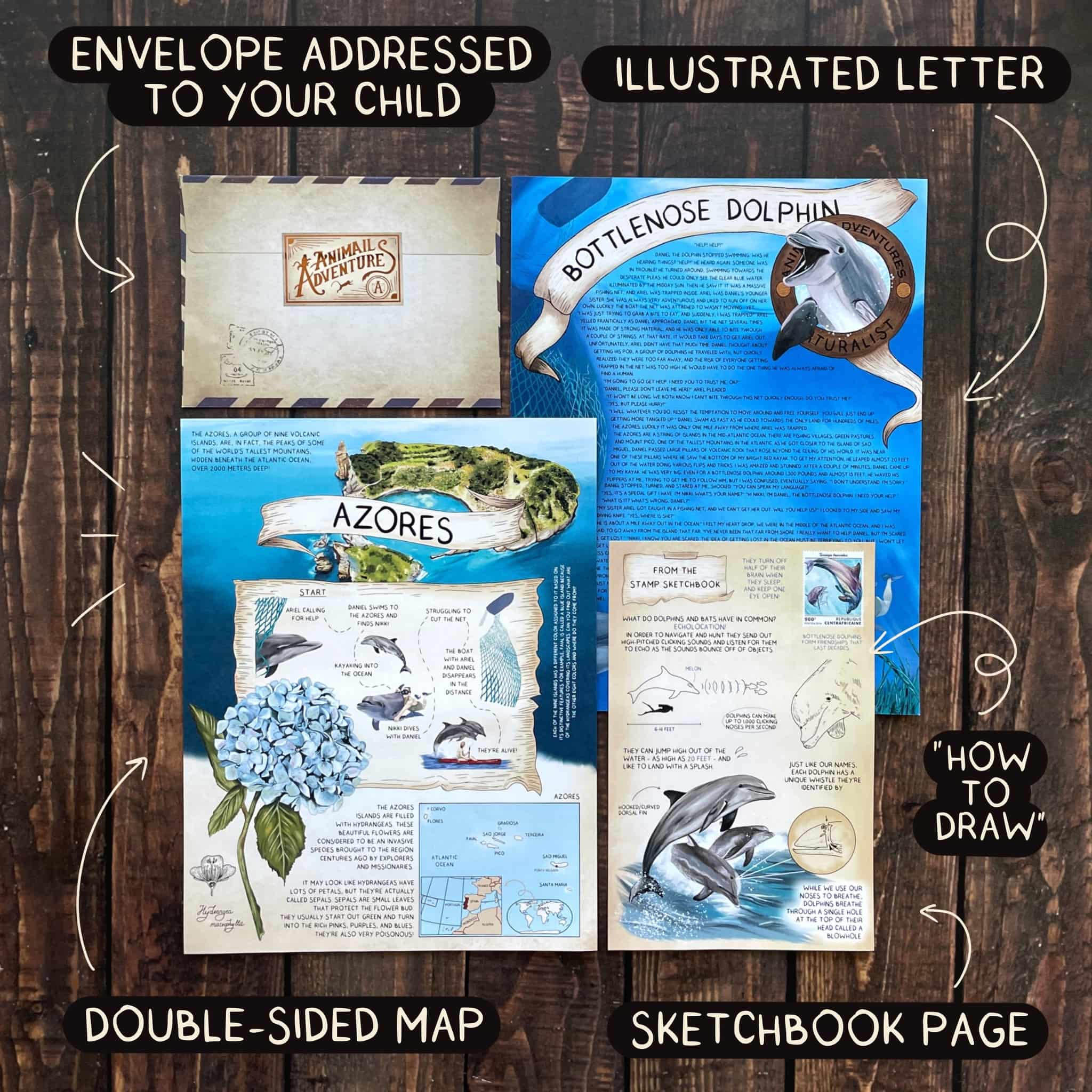 Animail Adventures | Animal Letter Subscription for Kids and Adults ...
