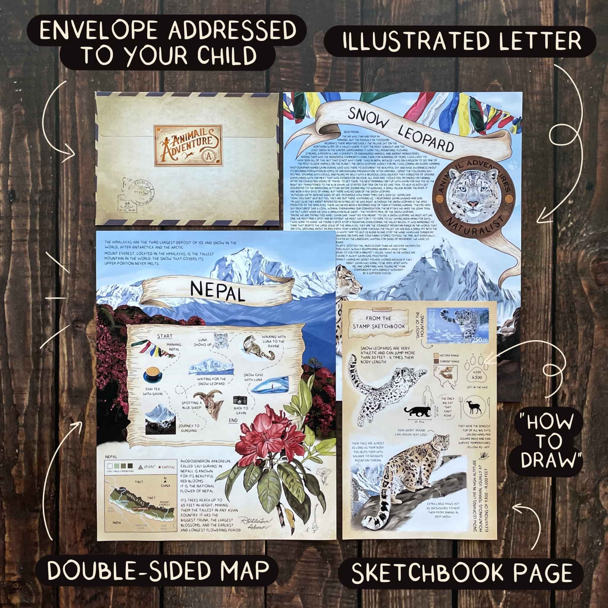 Animail Adventures | Animal Letter Subscription for Kids and Adults ...